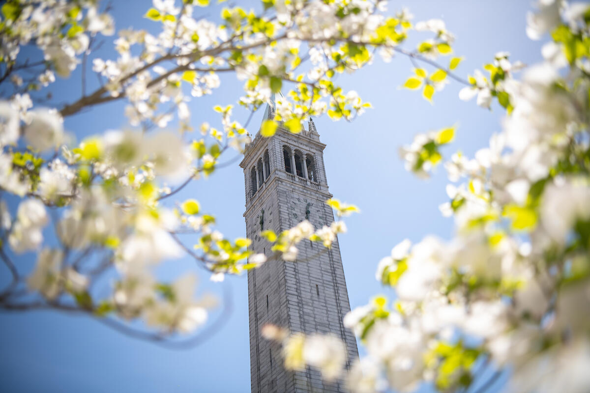 Campanile in Spring