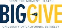 Big Give 2019 Logo