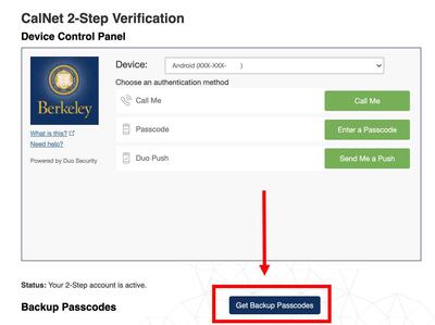 Get back up passcodes screen